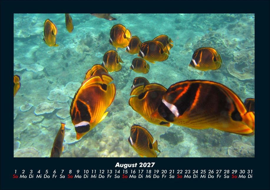 InsideView 12
