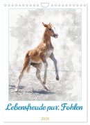 Cover-Bild zum Titel 'Lebensfreude pur: Fohlen (Wandkalender 2026 DIN A4 hoch), CALVENDO Monatskalender' von ''