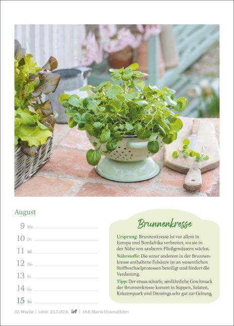 InsideView 12