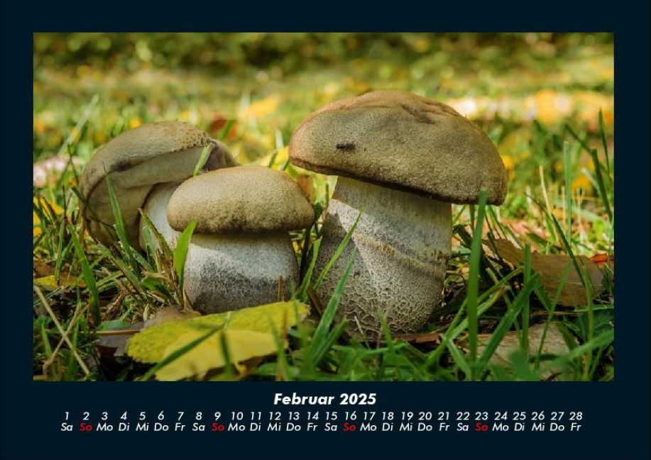 InsideView 6