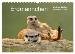 Cover-Bild zum Titel 'Erdmännchen - Tierkinder (Wandkalender 2026 DIN A3 quer), CALVENDO Monatskalender' von 'Michael Weber'