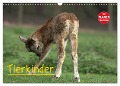 Tierkinder (Wandkalender 2024 DIN A3 quer), CALVENDO Monatskalender - Arno Klatt