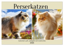Perserkatzen. Zauberhaft, sanft, anhänglich und wunderschön (Wandkalender 2026 DIN A2 quer), CALVENDO Monatskalender - Rose Hurley
