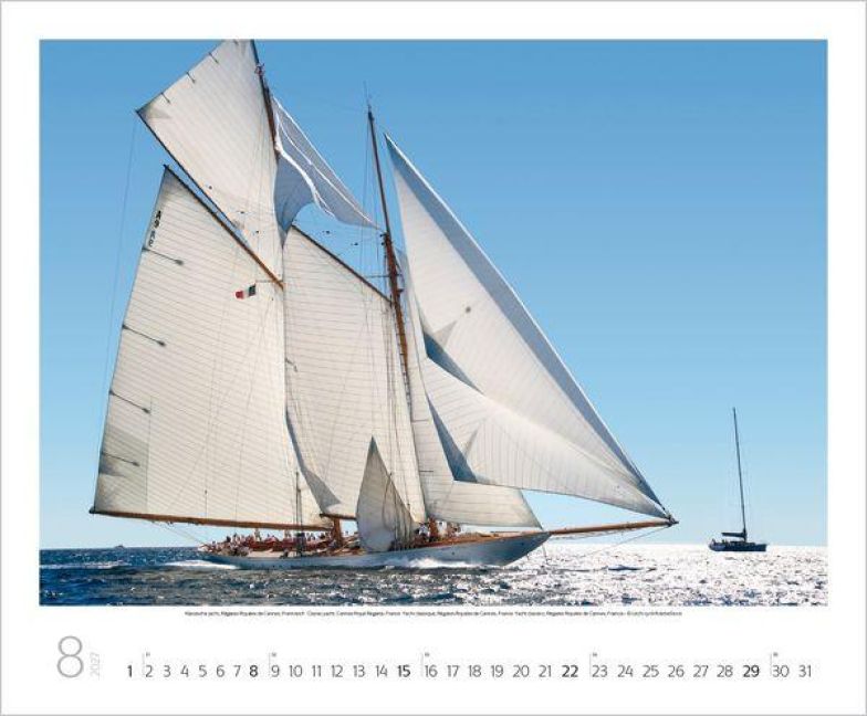 InsideView 8