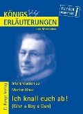Cover-Bild zum Titel 'Ich knall euch ab! - Give a Boy a Gun von Morton Rhue. Textanalyse und Interpretation.' von 'Morton Rhue'
