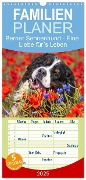 Familienplaner 2025 - Berner Sennenhund - Eine Liebe für¿s Leben mit 5 Spalten (Wandkalender, 21 x 45 cm) CALVENDO - Sigrid Starick