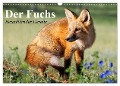 Der Fuchs. Bezaubernder Geselle (Wandkalender 2025 DIN A3 quer), CALVENDO Monatskalender - Elisabeth Stanzer