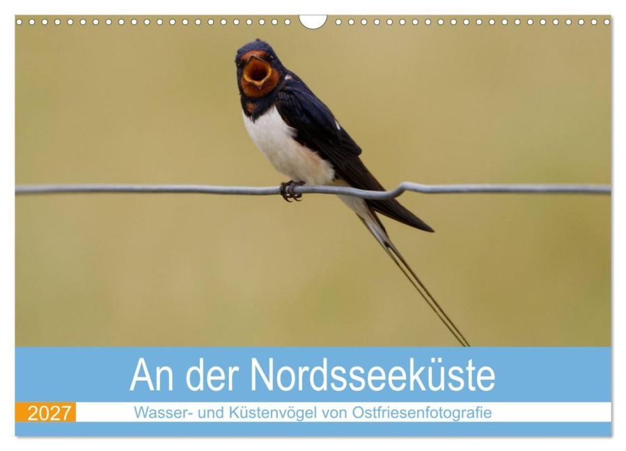 An der Nordseeküste - Wasser- und Küstenvögel fotografiert von Ostfriesenfotografie (Wandkalender 2027 DIN A3 quer), CALVENDO Monatskalender - Christina Betten - Ostfriesenfotografie