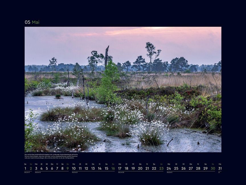 InsideView 10