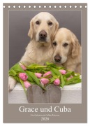 Cover-Bild zum Titel 'Grace und Cuba - Zwei liebenswerte Golden Retriever (Tischkalender 2026 DIN A5 hoch), CALVENDO Monatskalender' von 'Jessica Bernhardt'