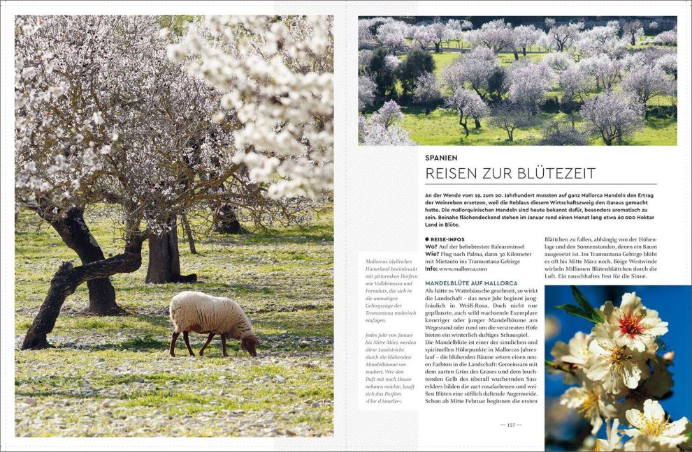InsideView 11
