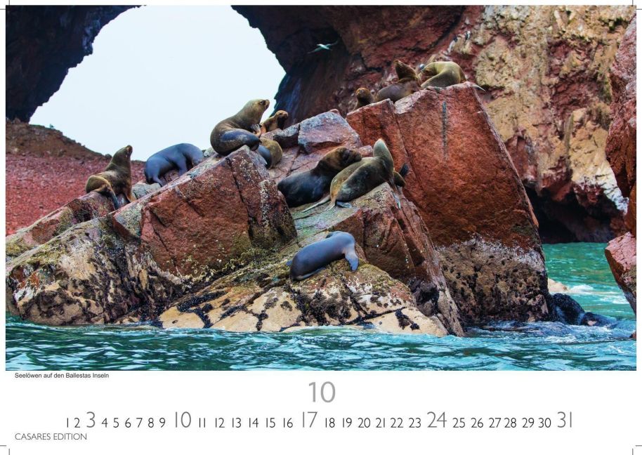 InsideView 10