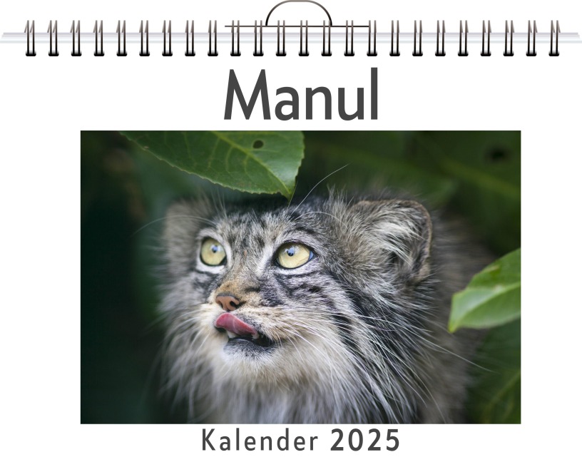 Manul - David Möller