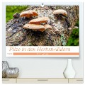 Pilze in den Herbstwäldern (hochwertiger Premium Wandkalender 2025 DIN A2 quer), Kunstdruck in Hochglanz - Alain Gaymard
