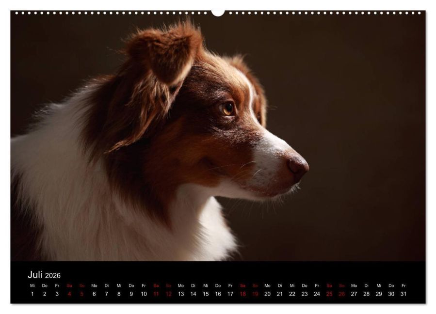 InsideView 12