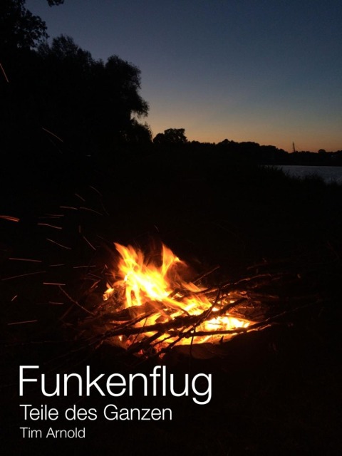 Funkenflug - Tim Arnold