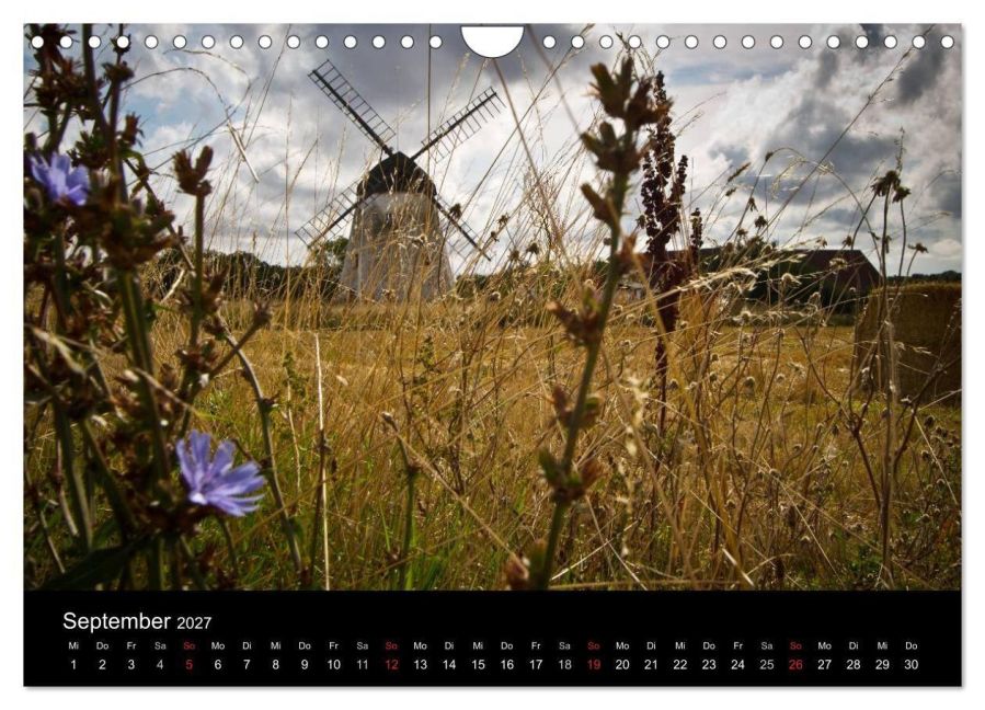 InsideView 14