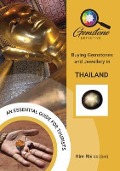 Cover-Bild zum Titel 'The Gemstone Detective' von 'Kim Rix'