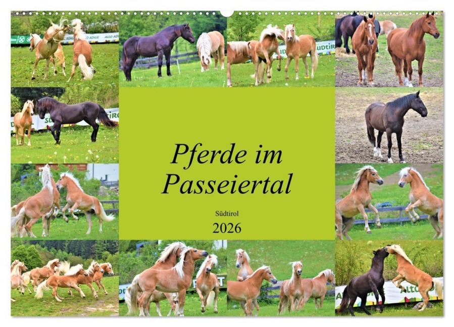 Pferde im Passeiertal (Wandkalender 2026 DIN A2 quer), CALVENDO Monatskalender - Markus Pixner