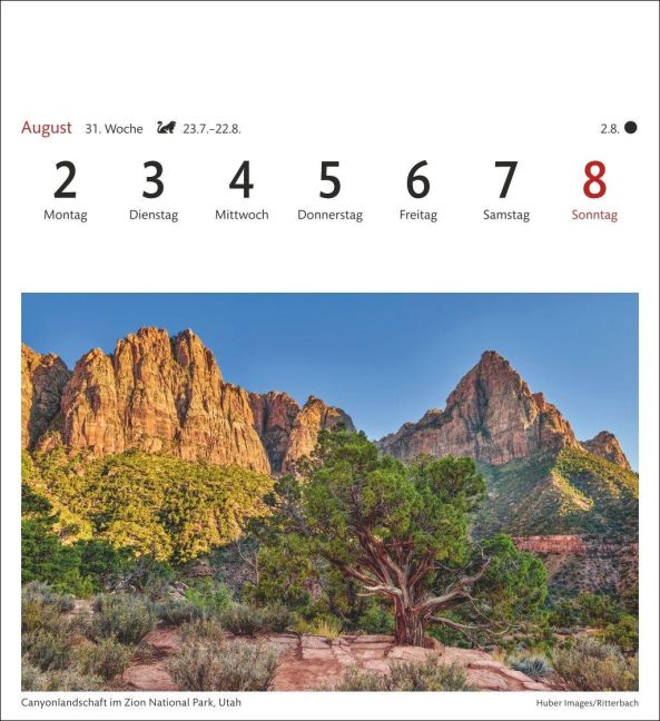 InsideView 12