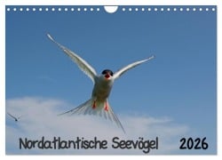 Nordatlantische Seevögel (Wandkalender 2026 DIN A4 quer), CALVENDO Monatskalender - Gerald Wolf