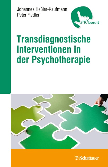 Transdiagnostische Interventionen in der Psychotherapie - Johannes Baltasar Heßler-Kaufmann, Peter Fiedler