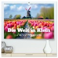 Die Welt in Klein (hochwertiger Premium Wandkalender 2025 DIN A2 quer), Kunstdruck in Hochglanz - Ally Bee