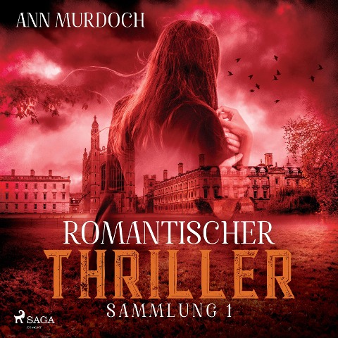 Romantischer Thriller Sammlung 1 - Ann Murdoch