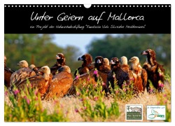 Cover-Bild zum Titel 'Unter Geiern auf Mallorca: Ein Projekt der Naturschutzstiftung Vida Silvestre Mediterránea (Wandkalender 2026 DIN A3 quer), CALVENDO Monatskalender' von 'Fvsm Fvsm'