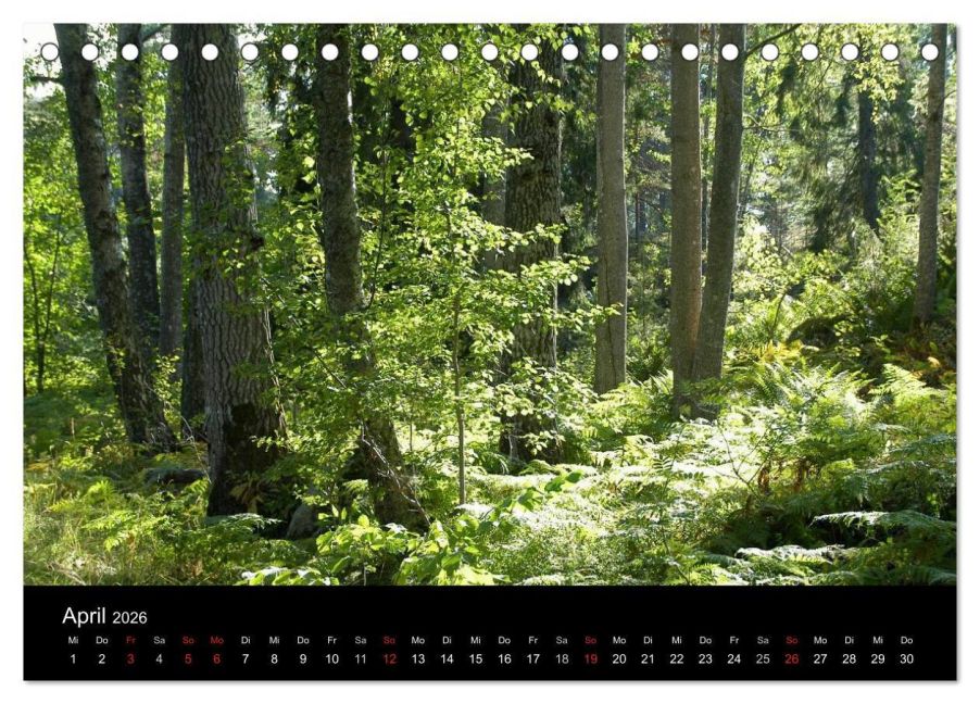 InsideView 9