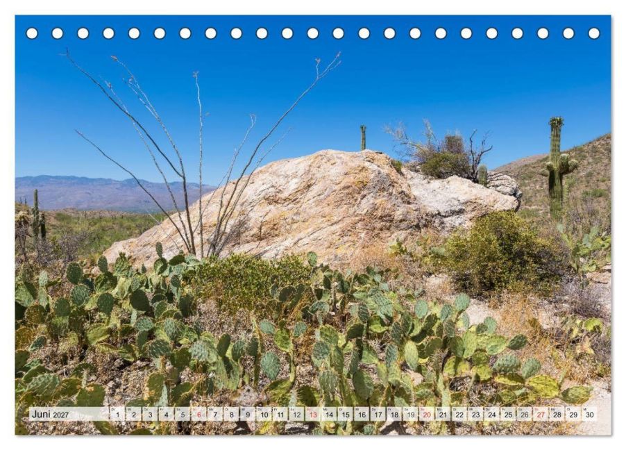 InsideView 11
