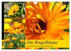 Cover-Bild zum Titel 'Die Ringelblume. Sonnengelbe, vielseitige Heilpflanze (Wandkalender 2026 DIN A4 quer), CALVENDO Monatskalender' von 'Rose Hurley'