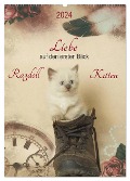 Liebe auf den ersten Blick . Ragdoll Kitten (Wandkalender 2024 DIN A2 hoch), CALVENDO Monatskalender - Marion Reiß-Seibert