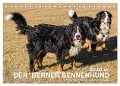 So ist er. Der Berner Sennenhund (Tischkalender 2024 DIN A5 quer), CALVENDO Monatskalender - Hubert Hunscheidt