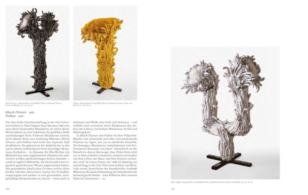 InsideView 25