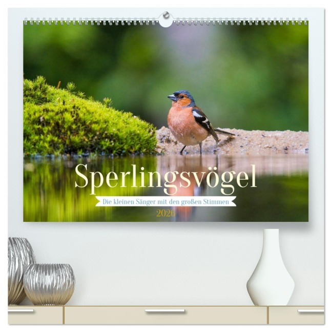 Sperlingsvögel - Die kleinen Sänger mit den großen Stimmen (hochwertiger Premium Wandkalender 2026 DIN A2 quer), Kunstdruck in Hochglanz - Arne Wünsche
