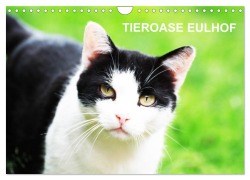 Eulhof (Wandkalender 2026 DIN A4 quer), CALVENDO Monatskalender - Margit Meiser-Lill