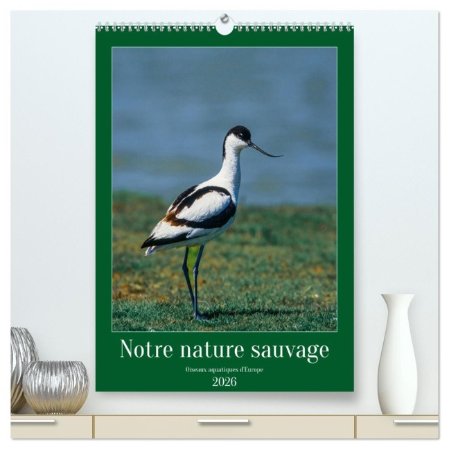 Notre nature sauvage, oiseaux aquatiques d'Europe (Calendrier mural 2026 DIN A2 horizontal) calendrier de bureau - (C) Alain Gaymard