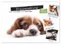 Hundeportraits, Hunde sind unsere besten Freunde by VogtArt (Wandkalender 2024 DIN A2 quer), CALVENDO Monatskalender - VogtArt VogtArt