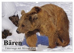 Cover-Bild zum Titel 'Bären. Unterwegs mit Meister Petz (Wandkalender 2026 DIN A3 quer), CALVENDO Monatskalender' von 'Elisabeth Stanzer'