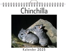Cover-Bild zum Titel 'Chinchilla' von 'Noah Richter'