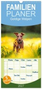 Cover-Bild zum Titel 'Familienplaner 2027 - Goldige Welpen mit 5 Spalten (Wandkalender, 21 x 45 cm) CALVENDO' von 'Pfotenblitzer Tierfotografie'