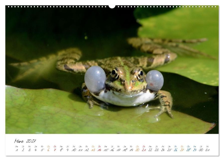 InsideView 7