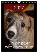 Cover-Bild zum Titel 'Ein Whippet wird erwachsen (Wandkalender 2027 DIN A4 hoch), CALVENDO Monatskalender' von 'Ula Redl'