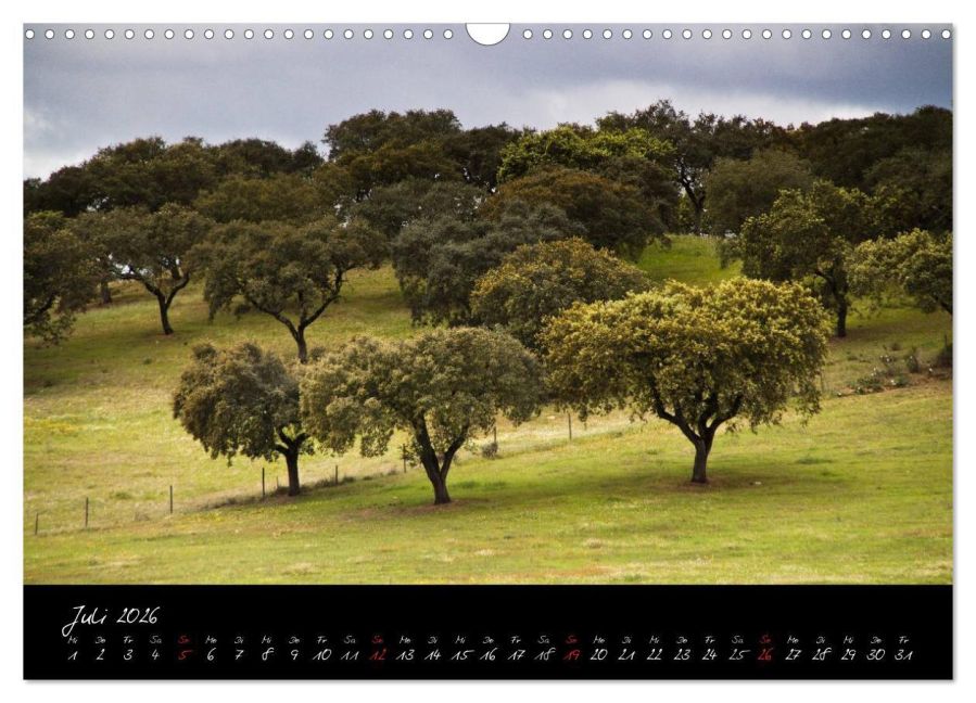 InsideView 12