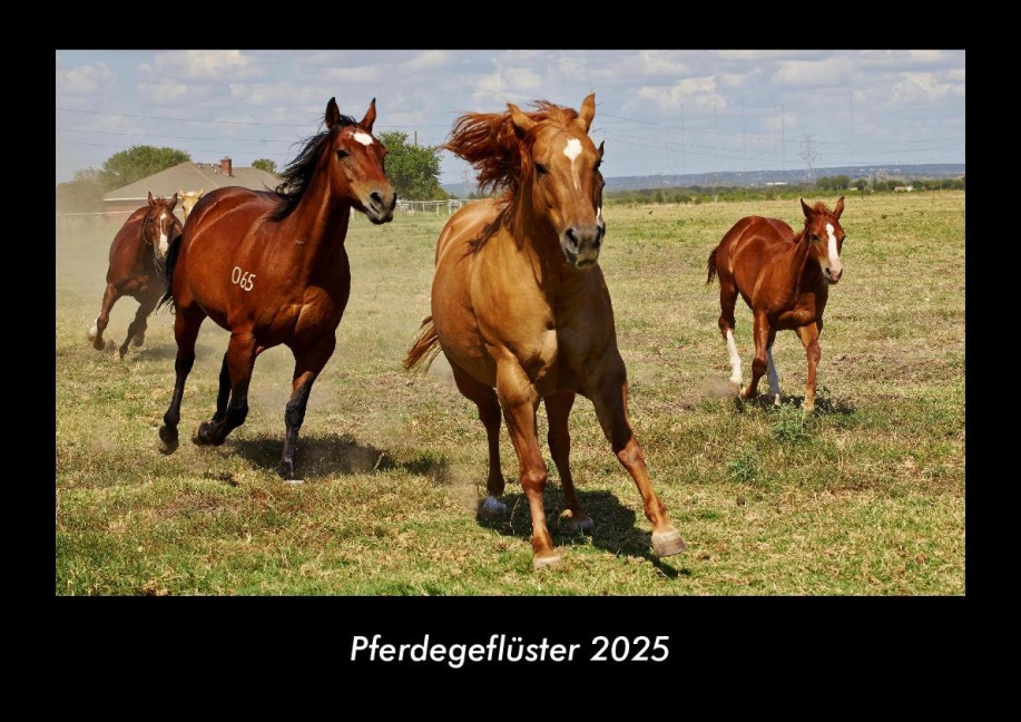 Pferdegeflüster 2025 Fotokalender DIN A3 - Tobias Becker