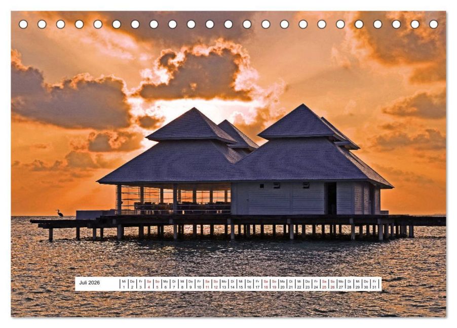 InsideView 12
