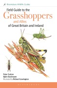 Cover-Bild zum Titel 'Field Guide to the Grasshoppers and Allies of Great Britain and Ireland' von 'Bjorn Beckmann, Peter Sutton'