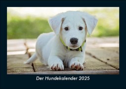 Cover-Bild zum Titel 'Der Hundekalender 2025 Fotokalender DIN A5' von 'Tobias Becker'