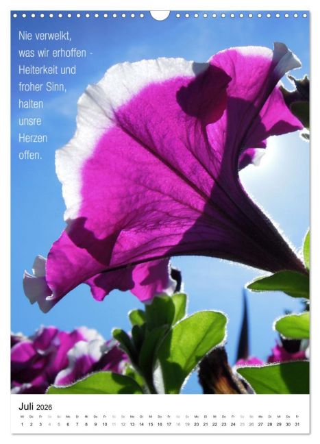 InsideView 12